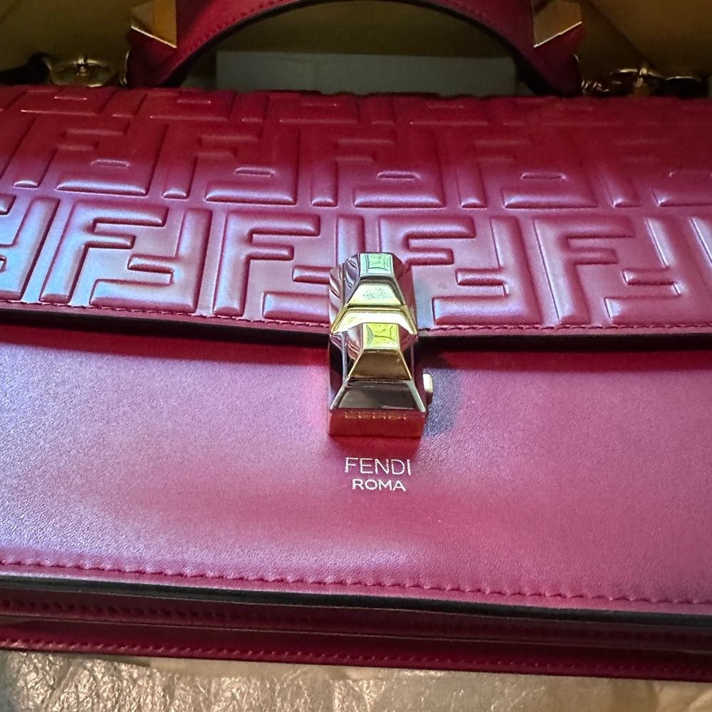 Fendi Zucca FF kan - Picture 4 of 12